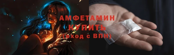 a pvp Бородино