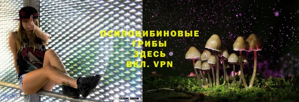 a pvp Бородино