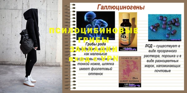 герыч Бронницы