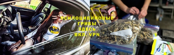 герыч Бронницы