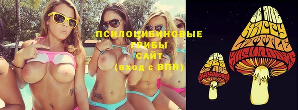 герыч Бронницы
