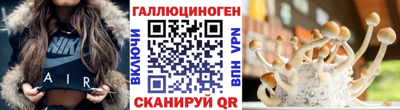 Купить закладки  Вятские Поляны  Псилоцибиновые грибы GOLDEN TEACHER 